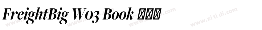 FreightBig W03 Book字体转换